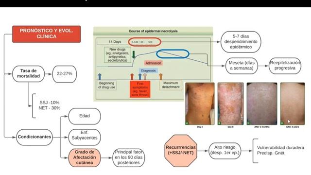 DERMA SJJ NET смотреть онлайн