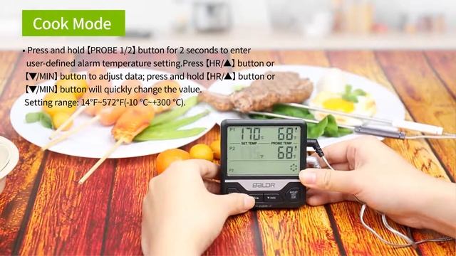 BALDR Dual Probe Digital Cooking Thermometer, Monitor Two Different Foods with Timer смотреть онлайн