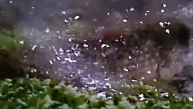 60gr dynamite смотреть онлайн