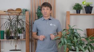 Когда сеять сидераты весной? Лучшие сидераты для теплицы и открытого грунта