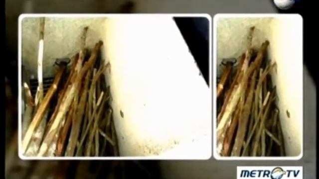 Kompor Biomassa (copy Metro TV 080813) смотреть онлайн