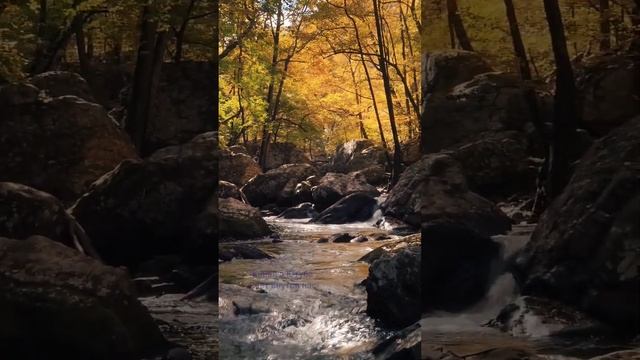 Беседы с Богом. Необычный диалог .Какие послания от Бога? смотреть онлайн