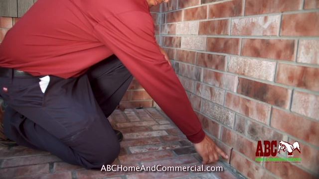 How to Keep Rodents Out смотреть онлайн