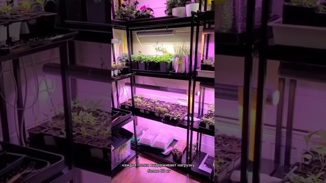 Стеллаж для рассады 🌱 смотреть онлайн