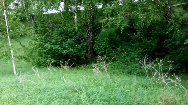 Как кричит лиса? (What Does The Fox Say?) смотреть онлайн