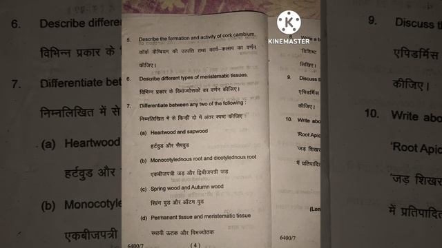 B. Sc (Fourth Semester) Examination, 2022 Botany [Paper -First] Plant Anatomy смотреть онлайн