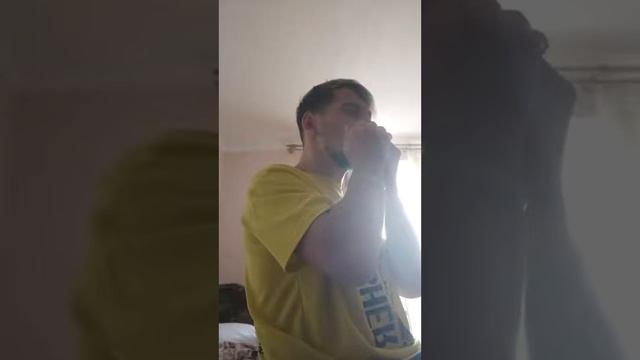 Ukrainian song Harmonica смотреть онлайн