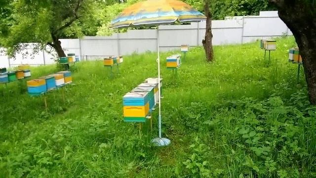 Сезон 2024 штрихи часть 1 смотреть онлайн