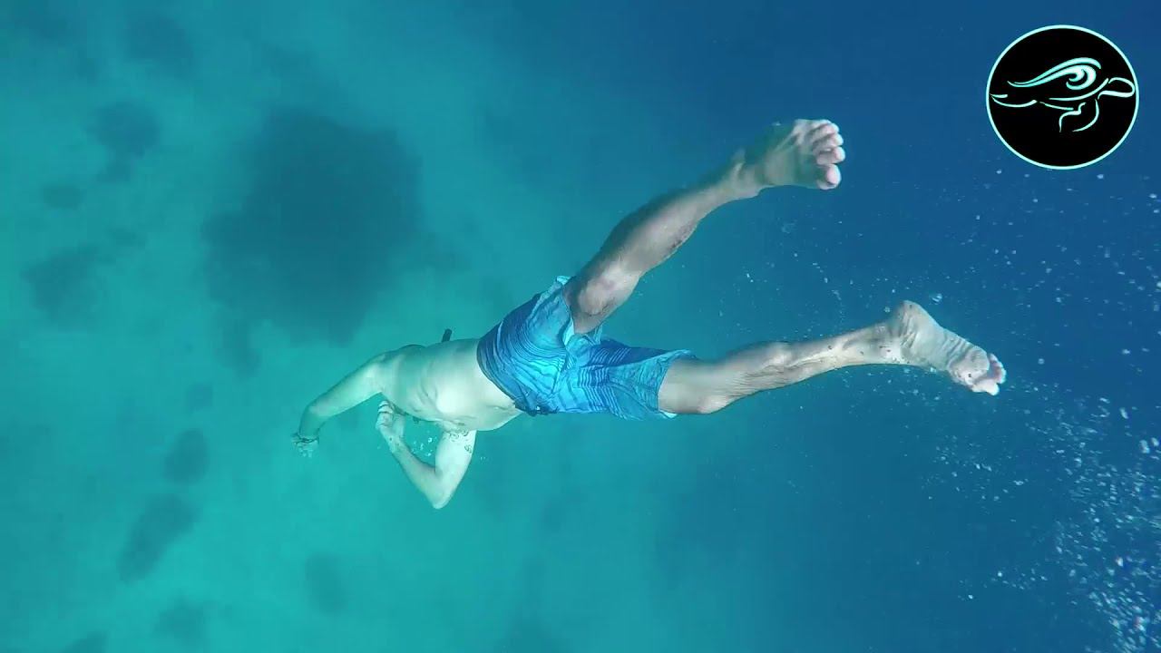 Nov 29 Fun Dive Olango смотреть онлайн