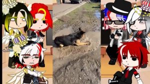 ~реакция стран из прошлого на будущее Tik Tok~