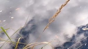 Повесть Виталия Полозова "На заимке" продолжение, часть 12, читает автор.