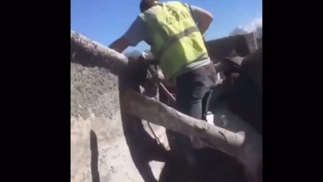 Meet the Engineer? смотреть онлайн