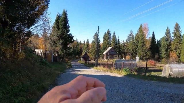 День 94. Продолжаю наращивать нагрузку. Дистанция 8 километров. смотреть онлайн