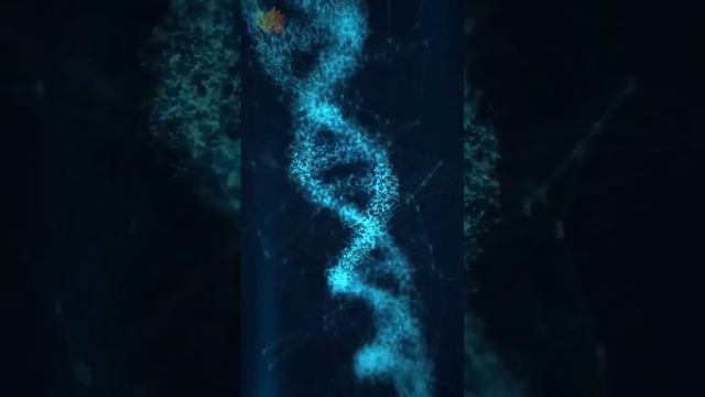 DNA Repair смотреть онлайн