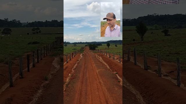 200 hectares dupla aptidão Rondônia смотреть онлайн
