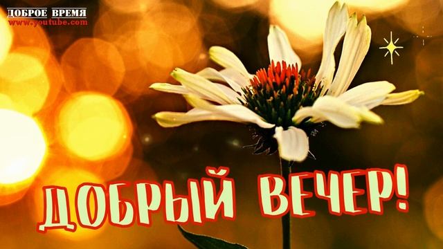 КРАСИВЫЕ ПЕСНИ ОБО ВСЁМ...ДОБРЫЙ ВЕЧЕР! смотреть онлайн