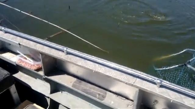 Карась,это Вам не Язь смотреть онлайн