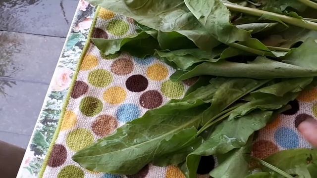 ꧁༻Лидия Александровна. Огородные радости༺꧂