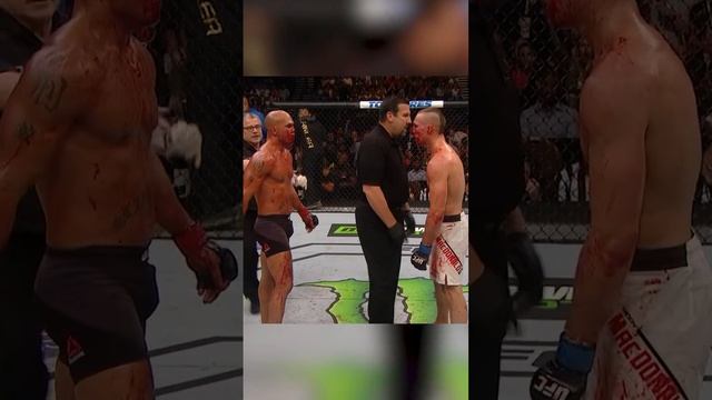 бои без правил...