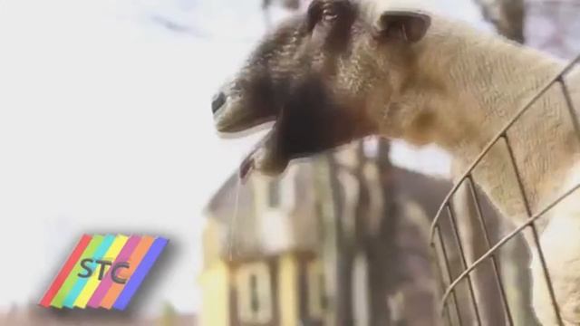Моя реакция на коробки:Warface смотреть онлайн