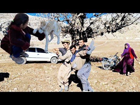 Helping a needy neighbor to get rid of addiction by Zahra's family and their companions🙏🤲 смотреть онлайн