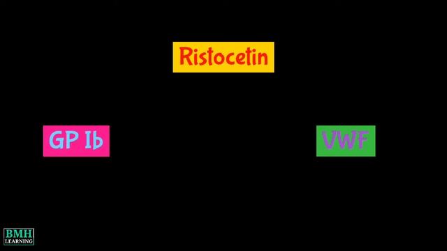 Ristocetin Test | Ristocetin Assay | Ristocetin-induced Platelet Aggregation | RIPA | смотреть онлайн