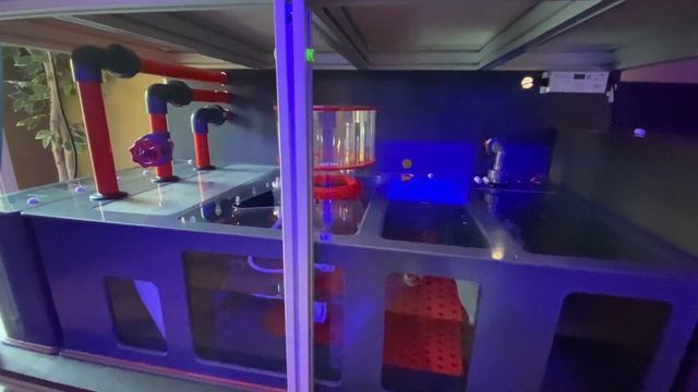 New Build 2020 смотреть онлайн
