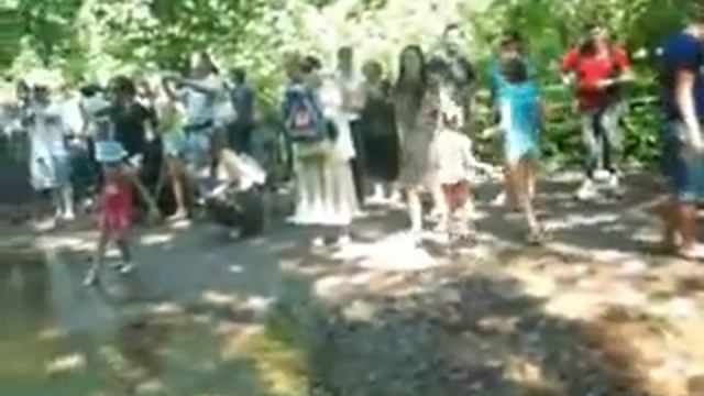 фонтан-шутиха смотреть онлайн