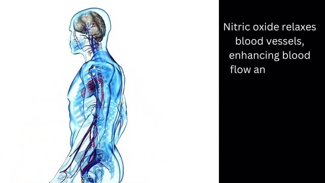 15 BEST FOODS TO PROMOTE BLOOD FLOW AND CIRCULATION TO YOUR LEGS AND FEET! смотреть онлайн