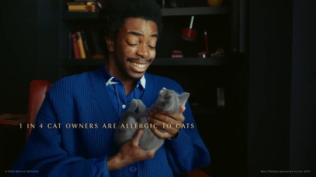 You'll Do Anything For a Kitten - Sheba Commercial смотреть онлайн
