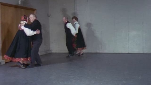 Springar Fra Hemsedal, 1974