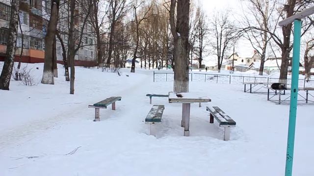 Эпичное падение с лавочки смотреть онлайн