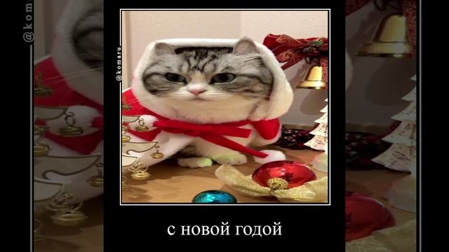 Всех с первым декабрём