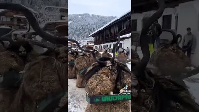 С первым днём Зимы! смотреть онлайн
