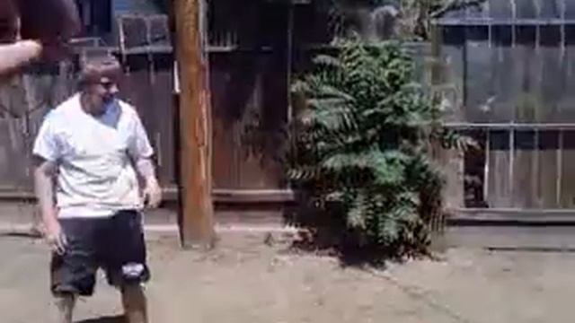 Flud F's Curtis up!!! смотреть онлайн