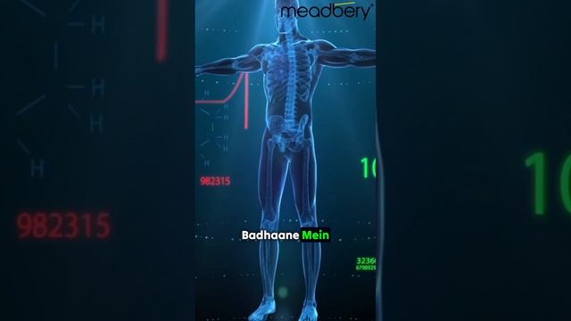 Healthy Fats Ke Fayde for Healthy Liver #meadbery #healthyfats смотреть онлайн