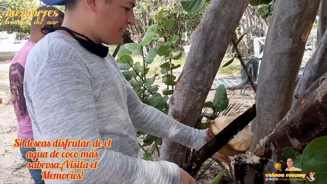 Videos Maravillas Del Hotel Memoríes Trinidad, Disfrútalo. смотреть онлайн