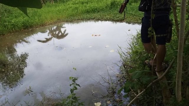 fish hunting maramag bukidnon. смотреть онлайн