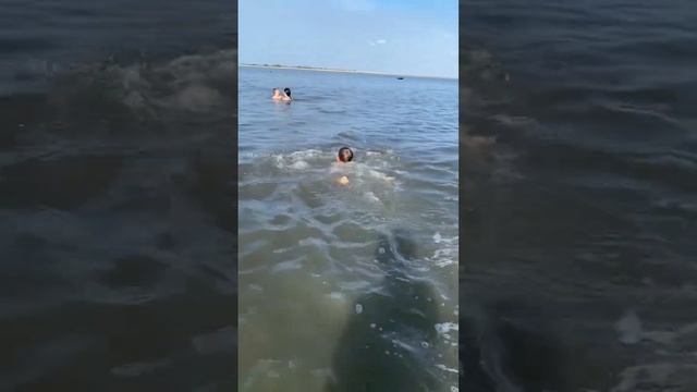 Не умеет плавать 🏊🏻♂️ и не боится воды смотреть онлайн
