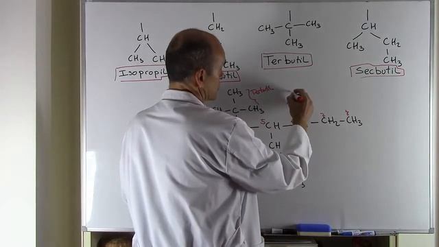 ISOPROPIL, ISOBUTIL, TERBUTIL, SECBUTIL. OTRAS RAMIFICACIONES. QUÍMICA ORGÁNICA