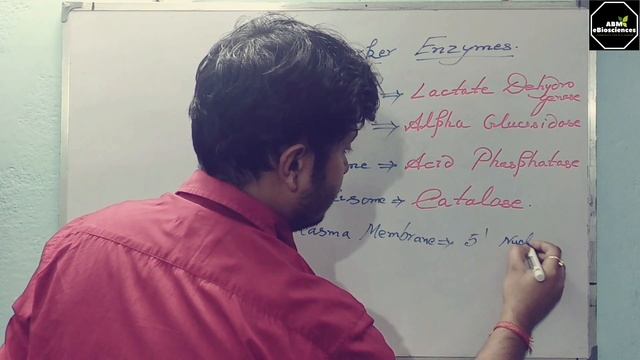 Marker| Enzymes| смотреть онлайн