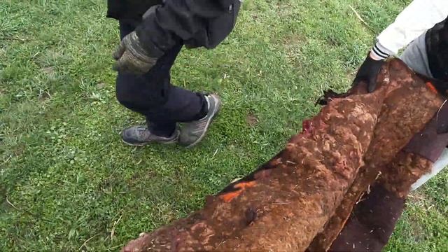 Своими силами Зарыбили пруд и сделали субботник на карьере ТЭЦ города Бишкек!!! смотреть онлайн