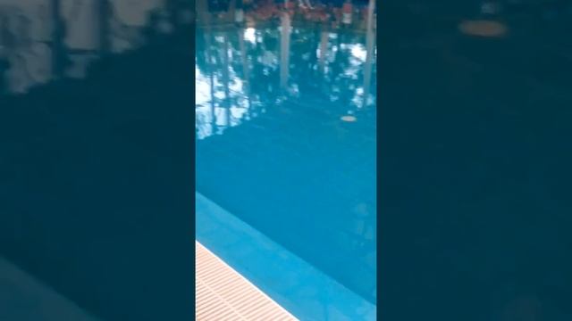 Открытие бассейна в лагере Ракета. смотреть онлайн