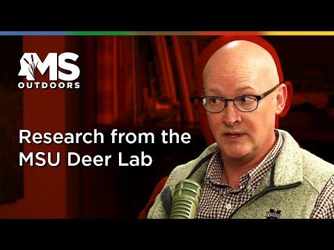 Antler Size and Genetics: Insights from MSU Deer Lab's Bronson Strickland | MS Outdoors Podcast смотреть онлайн