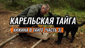 Самое уютное место для костра в Бушкрафте Рядом с Дикой лесной хижиной, Лесная мебель, Приготовление