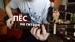 Заставка к Саундтреку ПЁС на гитаре (КАВЕР)