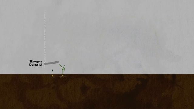Envita Fills The Nitrogen Gap - The Science Behind Envita смотреть онлайн