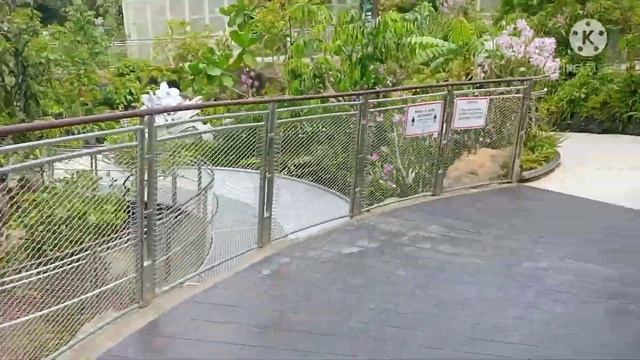 the sembcorp cool house at botanic garden singapore (naturelovers)( beautiful flowers) (greenies) смотреть онлайн