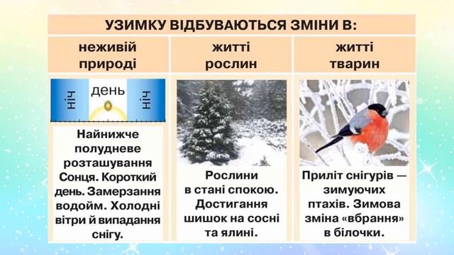ЯДС 1 клас урок 52 Зміни в природі взимку підручник Бібік смотреть онлайн