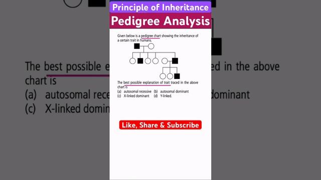 Pedigree Analysis I Principle of Inheritance I NEET смотреть онлайн